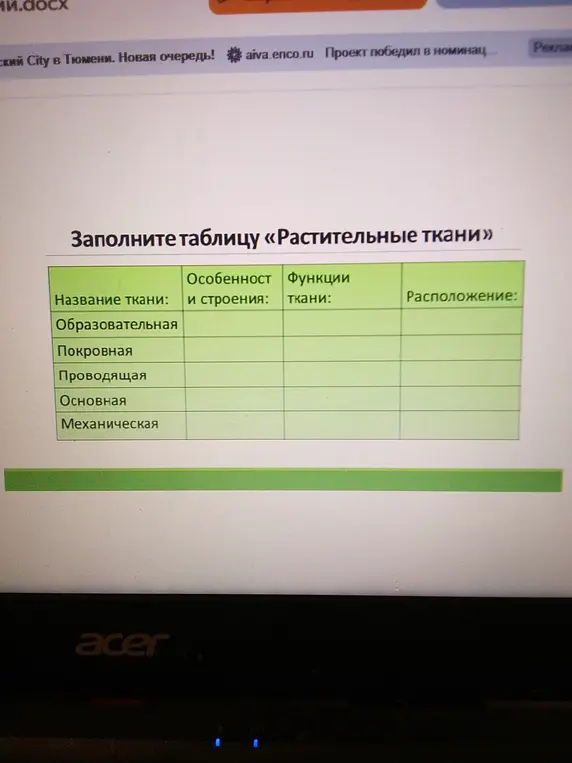Заполни таблицу «Растительные ткани»