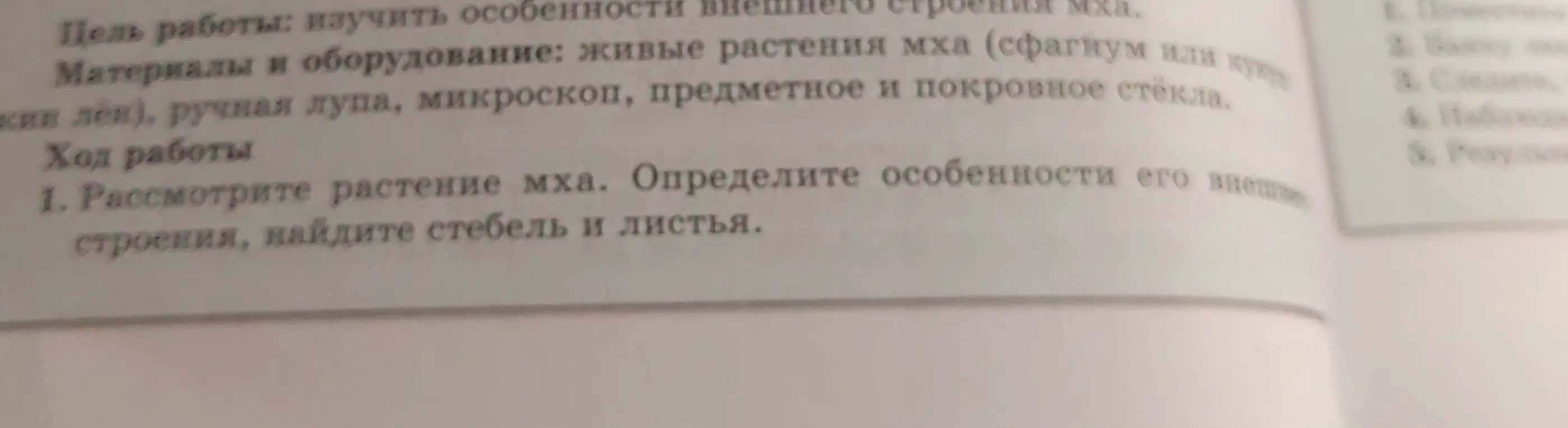 Рассмотри растение мха. Определи особенности его внешнего строения, найди стебель и листья.