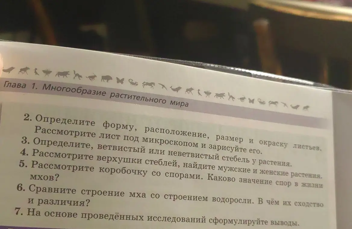 Определи форму, расположение, размер и окраску листьев. Рассмотри лист под микроскопом и зарисуй его.