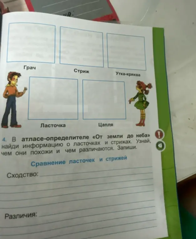 Найди в атласе-определителе информацию о ласточках и стрижах, узнай, чем они похожи и чем различаются, и запиши.