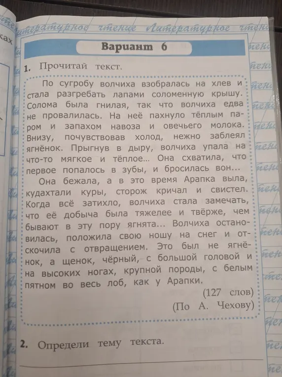 Определи тему текста.