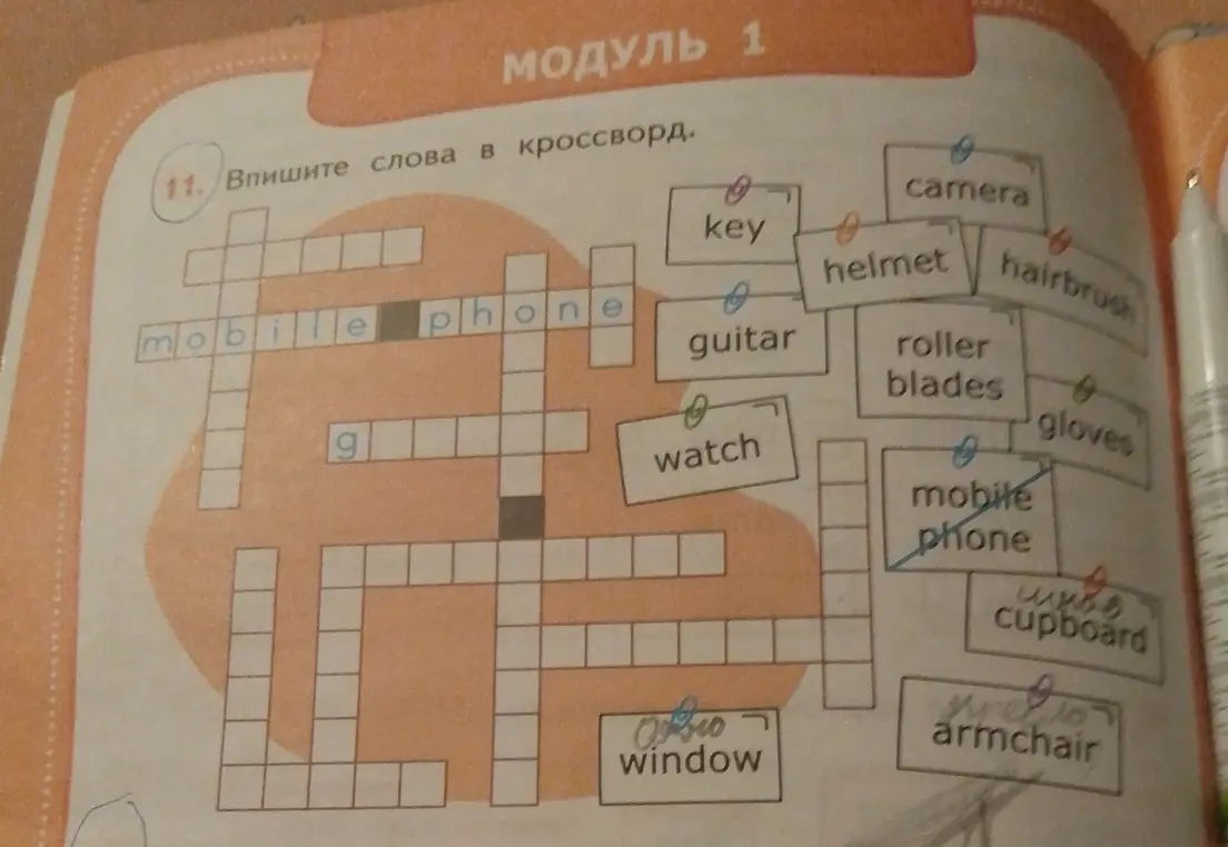 Впиши слова в кроссворд.
