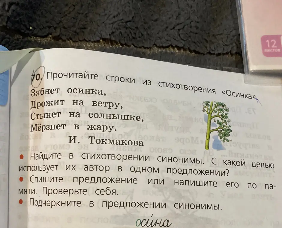 Найди в стихотворении синонимы, спиши предложение и подчеркни в нём синонимы.