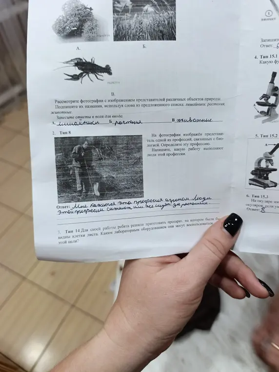 Рассмотри фотографии с изображением представителей различных объектов природы. Подпиши их названия, используя слова из предложенного списка: лишайники, растения, животные.