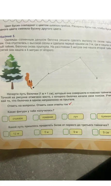 Ответь на вопросы: какая фигура у тебя получилась и какой путь пришлось проделать белке от первого до третьего тайничка?