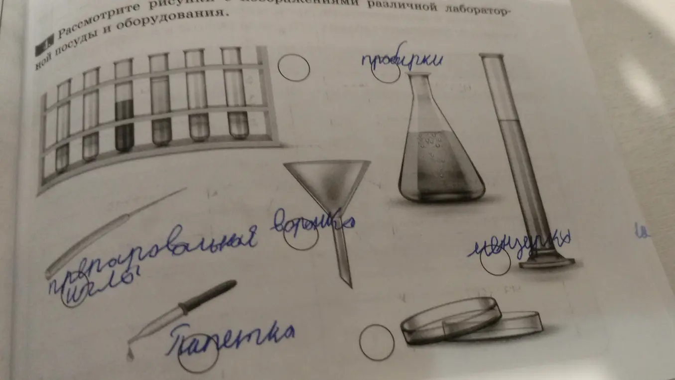 Назови, что изображено на картинке.