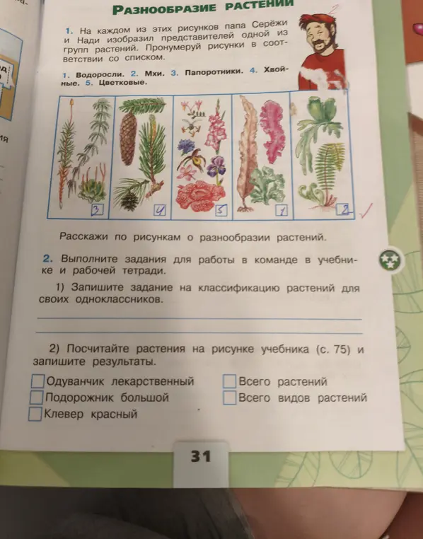 Пронумеруй рисунки в соответствии со списком.