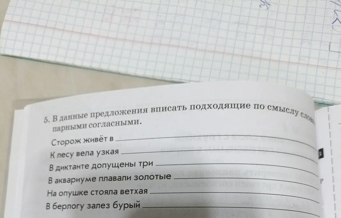 В данные предложения вписать подходящие по смыслу слова парными согласными.
