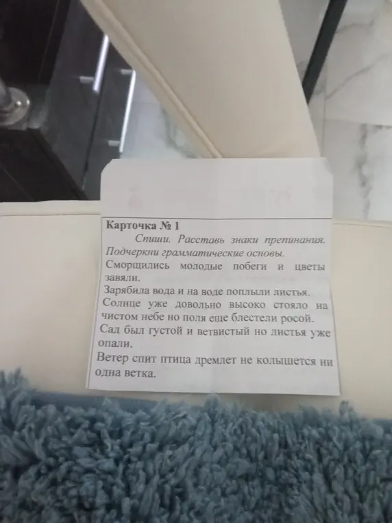 Спиши текст, расставь знаки препинания и подчеркни грамматические основы.