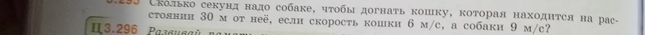 Сколько секунд надо собаке, чтобы догнать кошку, которая находится на расстоянии 30 м от неё, если скорость кошки 6 м/с, а собаки 9 м/с?