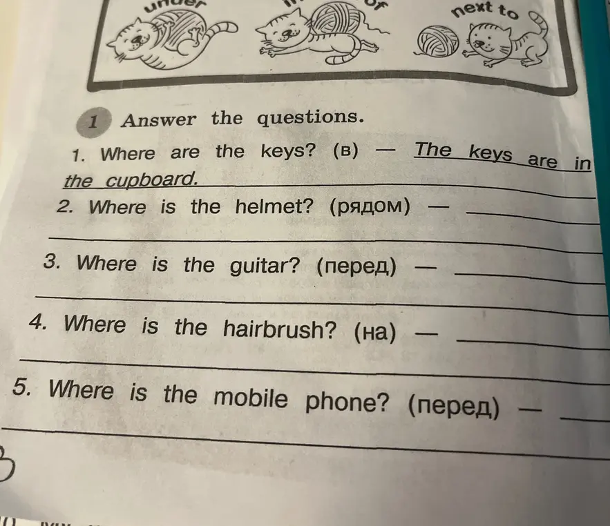 Ответь на вопросы.