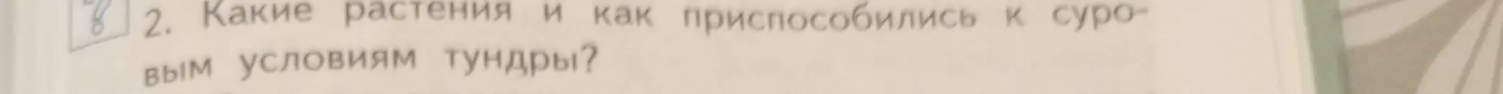 Какие растения и как приспособились к суровым условиям тундры?