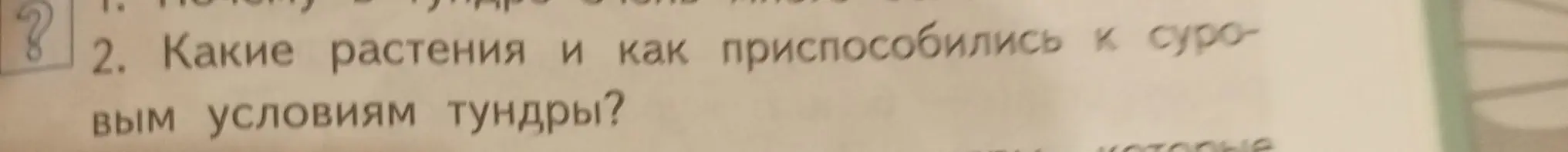 Какие растения и как приспособились к суровым условиям тундры?
