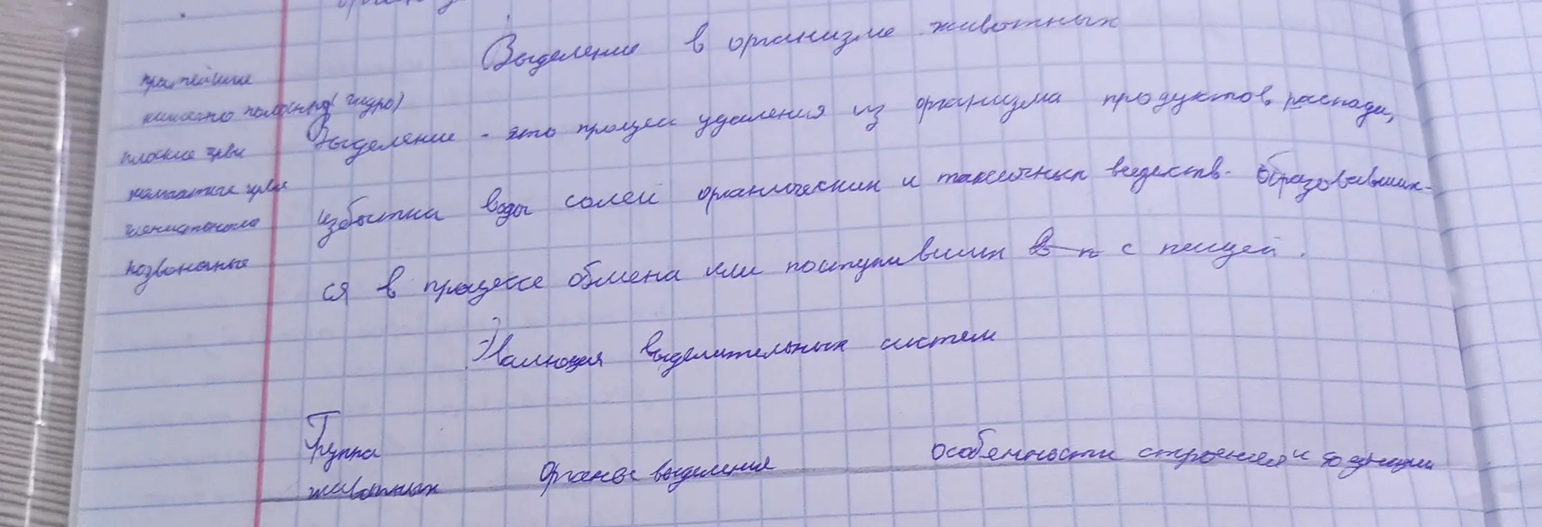Определи, что такое выделение в организме животных.