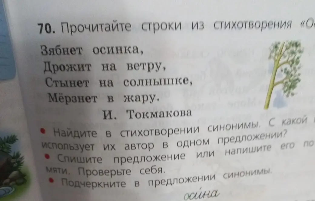 Найди в стихотворении синонимы и спиши предложение.