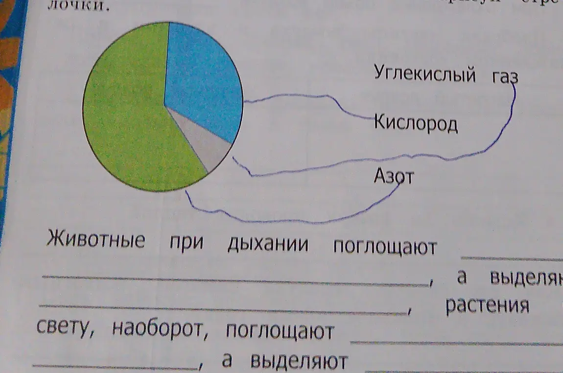 Заполни пропуски в тексте про дыхание животных и растений, используя круговую диаграмму.