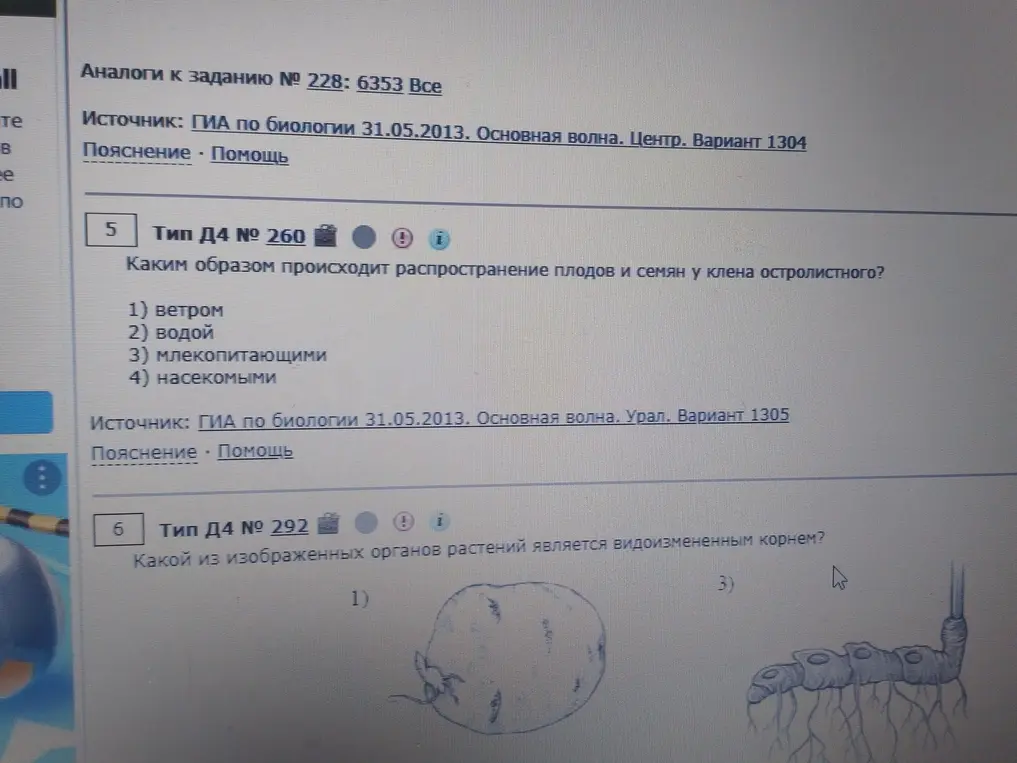 Определи способ распространения семян клёна остролистного и укажи видоизменённый корень.