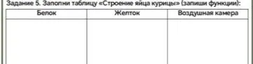 Заполни таблицу «Строение яйца курицы» (запиши функции): Белок, Желток, Воздушная камера