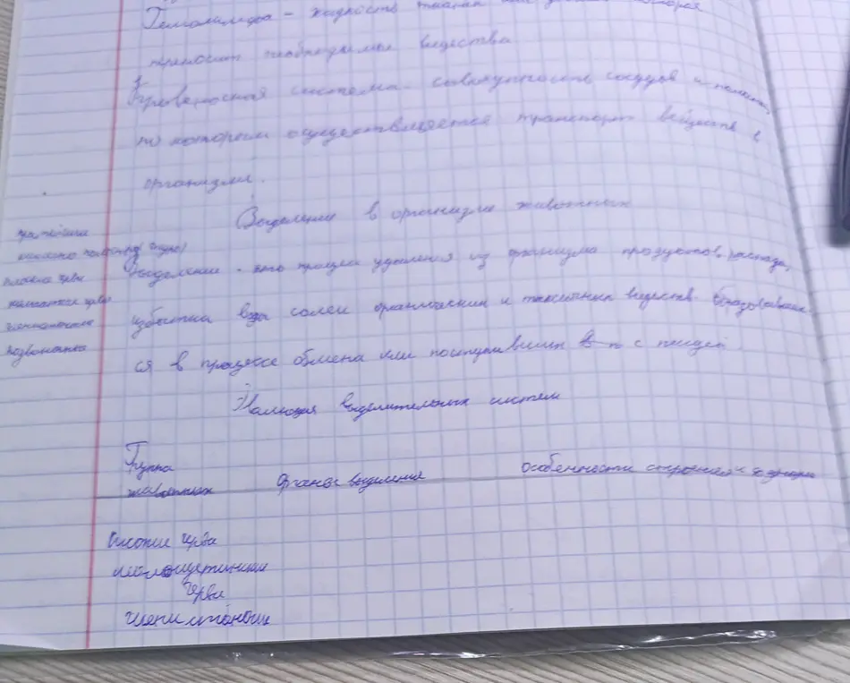 Составь группу животных и опиши их особенности строения и органы выделения.