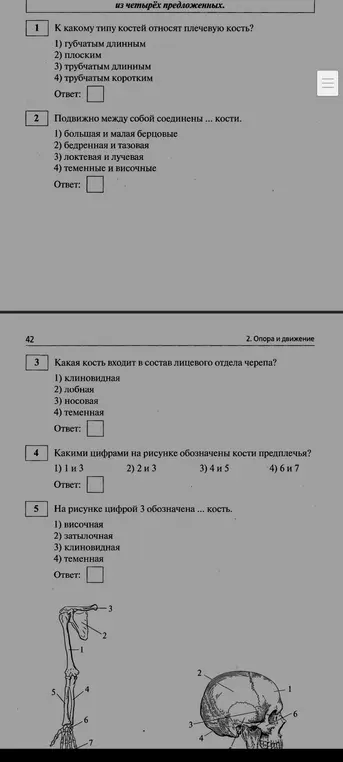 Ответь на вопросы по анатомии человека: кости, соединения, мышцы.