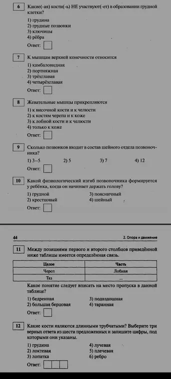 Ответь на вопросы по анатомии человека: кости, соединения, мышцы.