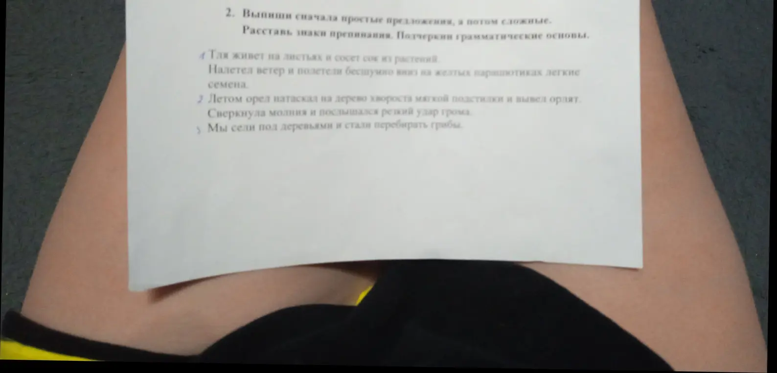 Выпиши сначала простые предложения, а потом сложные, расставь знаки препинания и подчеркни грамматические основы.