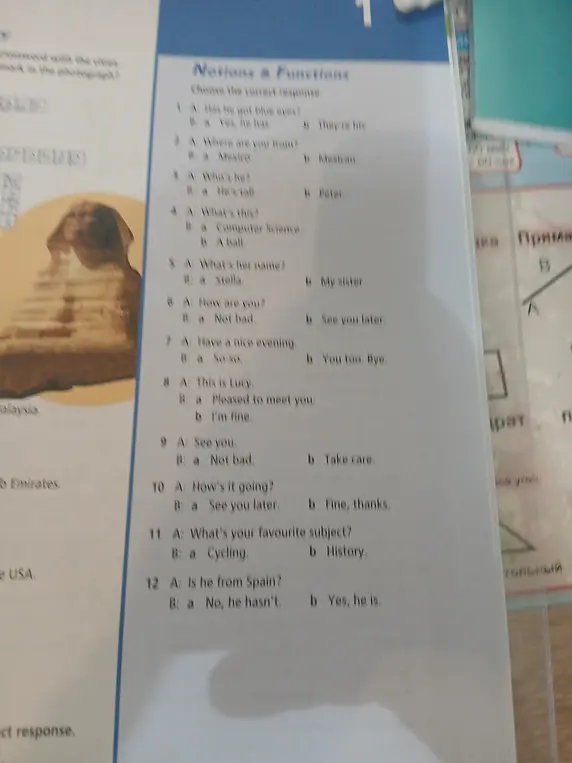 Выбери правильный ответ.