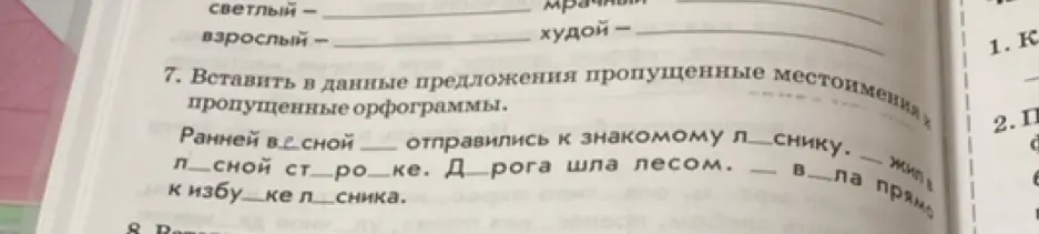 Вставь в данные предложения пропущенные местоимения и пропущенные орфограммы.