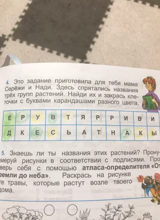 Найди названия трёх групп растений и закрась клеточки с этими буквами разными цветами.