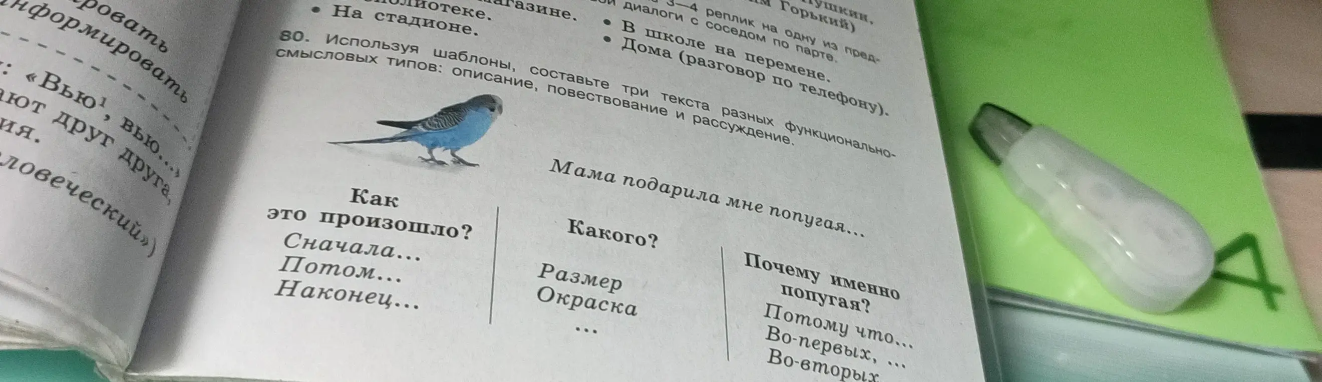 Используя шаблоны, составьте три текста разных функционально-смысловых типов: описание, повествование и рассуждение о попугае.