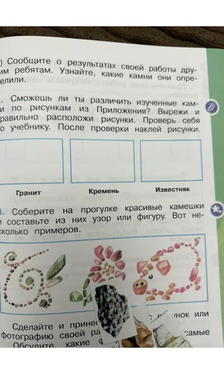 Вырежи и правильно расположи рисунки. Проверь себя по учебнику. После проверки наклей рисунки.