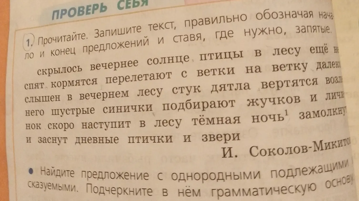Прочитай текст, правильно обозначая начало и конец предложений и ставя, где нужно, запятые. Найди предложение с однородными подлежащими и сказуемыми. Подчеркни в нём грамматическую основу.