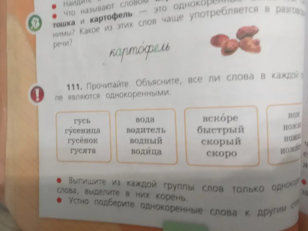Объясни, все ли слова в каждой группе являются однокоренными.