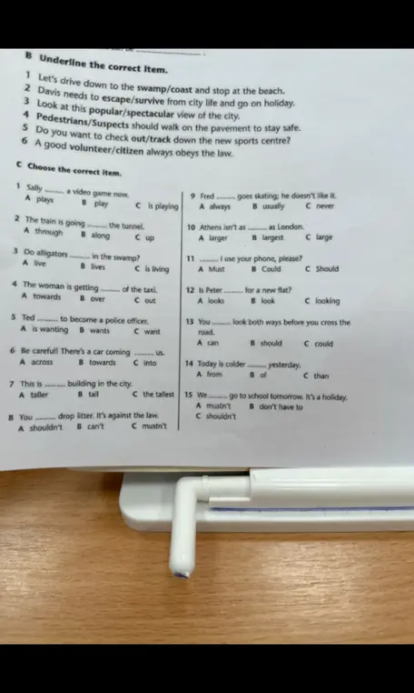 Выполни задания B и C по английскому языку.