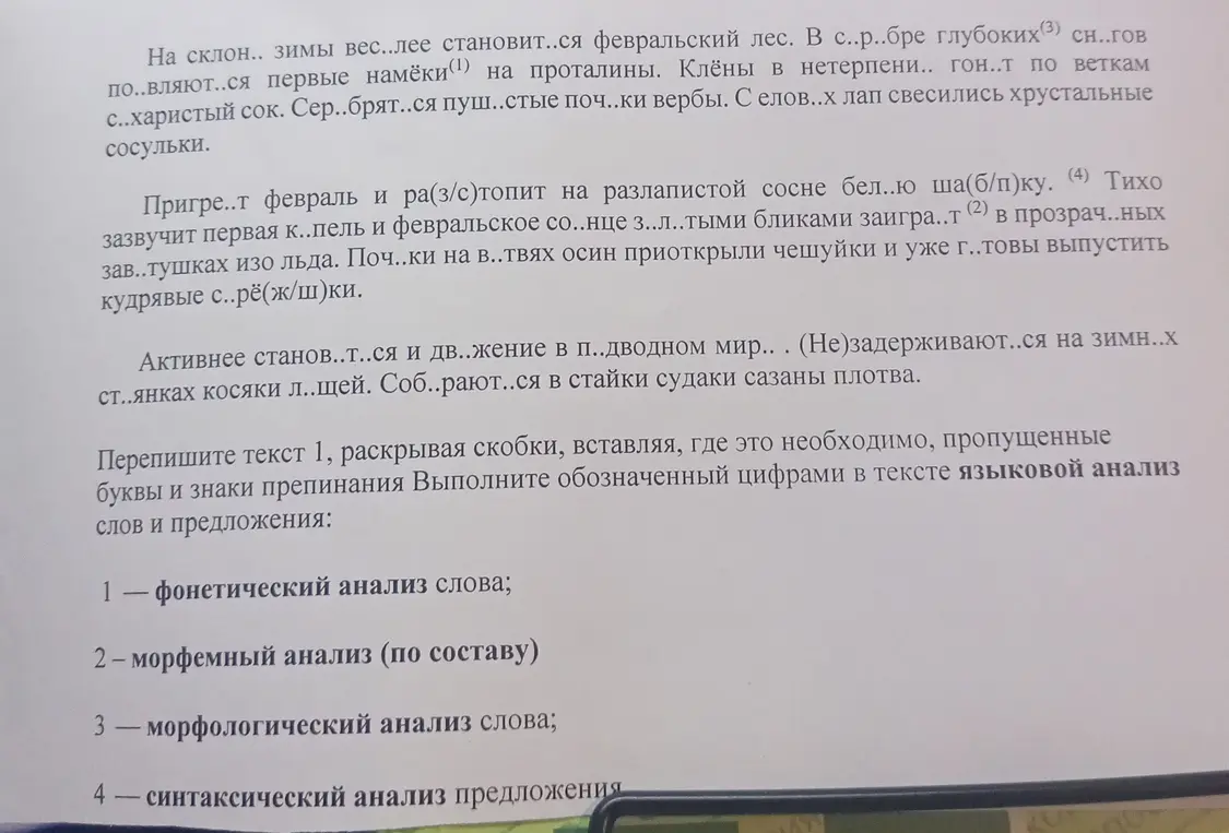 Перепиши текст, раскрывая скобки, вставляя пропущенные буквы и знаки препинания. Выполни языковой анализ слов и предложения.