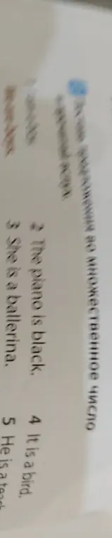 Образуй множественное число от данных существительных.