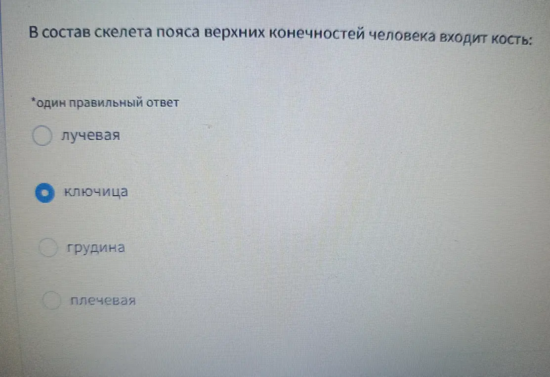 Определи, какая кость входит в состав скелета пояса верхних конечностей человека.