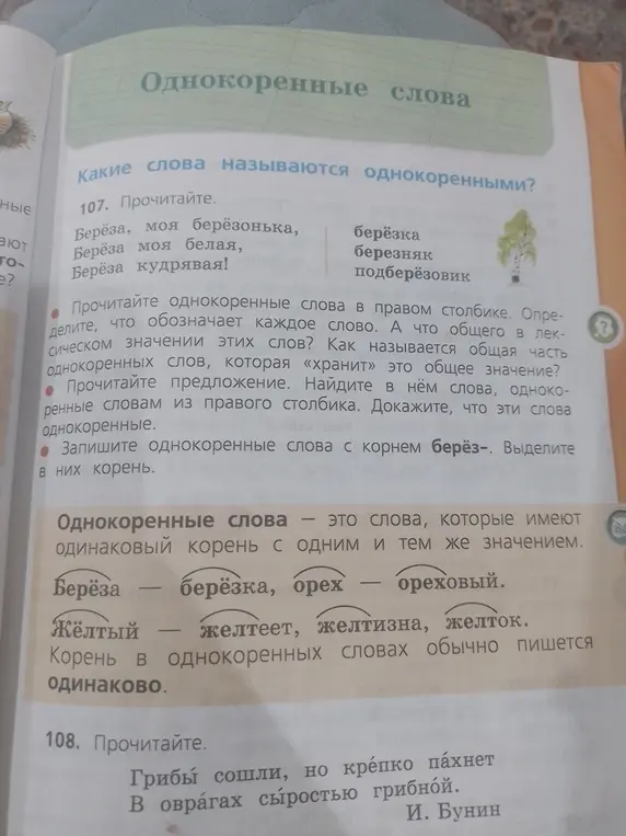 Запиши однокоренные слова с корнем берёз- и выдели в них корень.