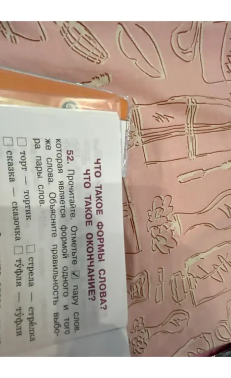 Прочитай и отметь пару слов, которая является формой одного и того же слова. Объясни правильность выбора пары слов.