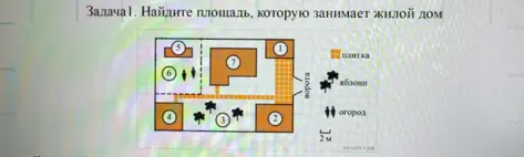 Найди площадь которую занимает под цифрой 1,2,3,4,5,6,7