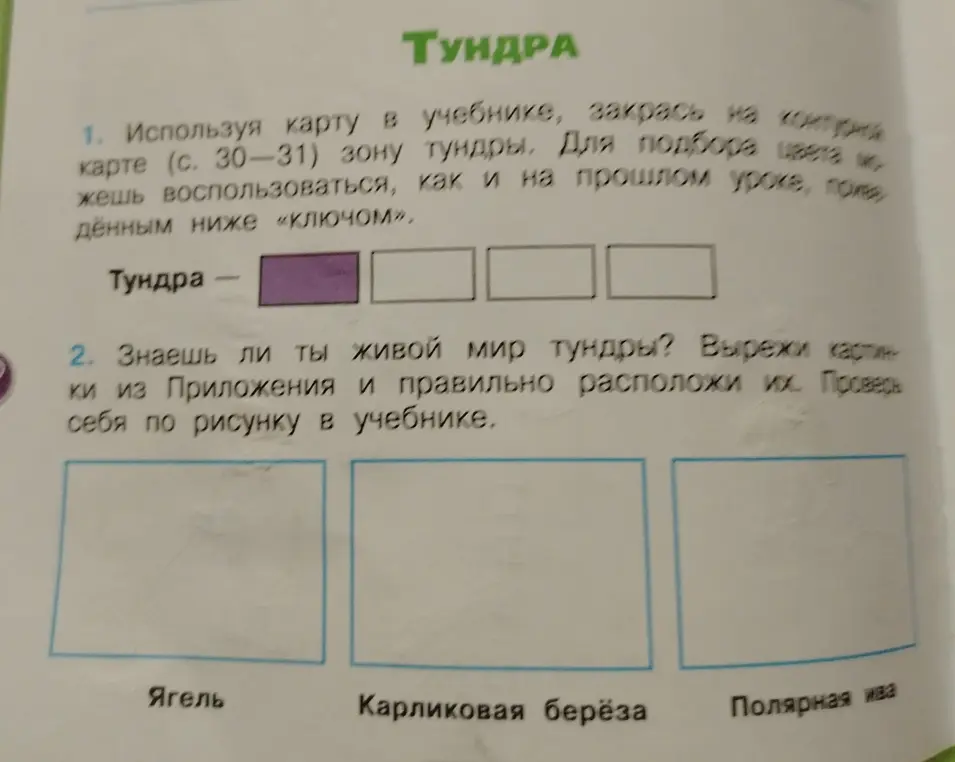 Используя карту в учебнике, закрась на контурной карте зону тундры.