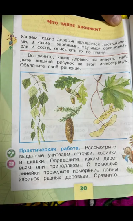 Найди лишний рисунок на этой иллюстрации. Объясни своё решение.