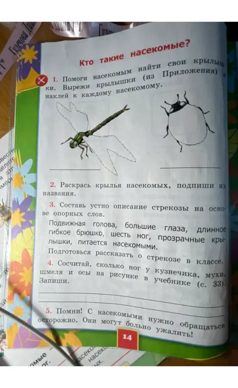 Помоги насекомым найти свои крылышки, раскрась крылья насекомых, составь устно описание стрекозы на основе опорных слов, сосчитай, сколько ног у кузнечика, мухи, шмеля и осы на рисунке в учебнике, помни, с насекомыми нужно обращаться осторожно.