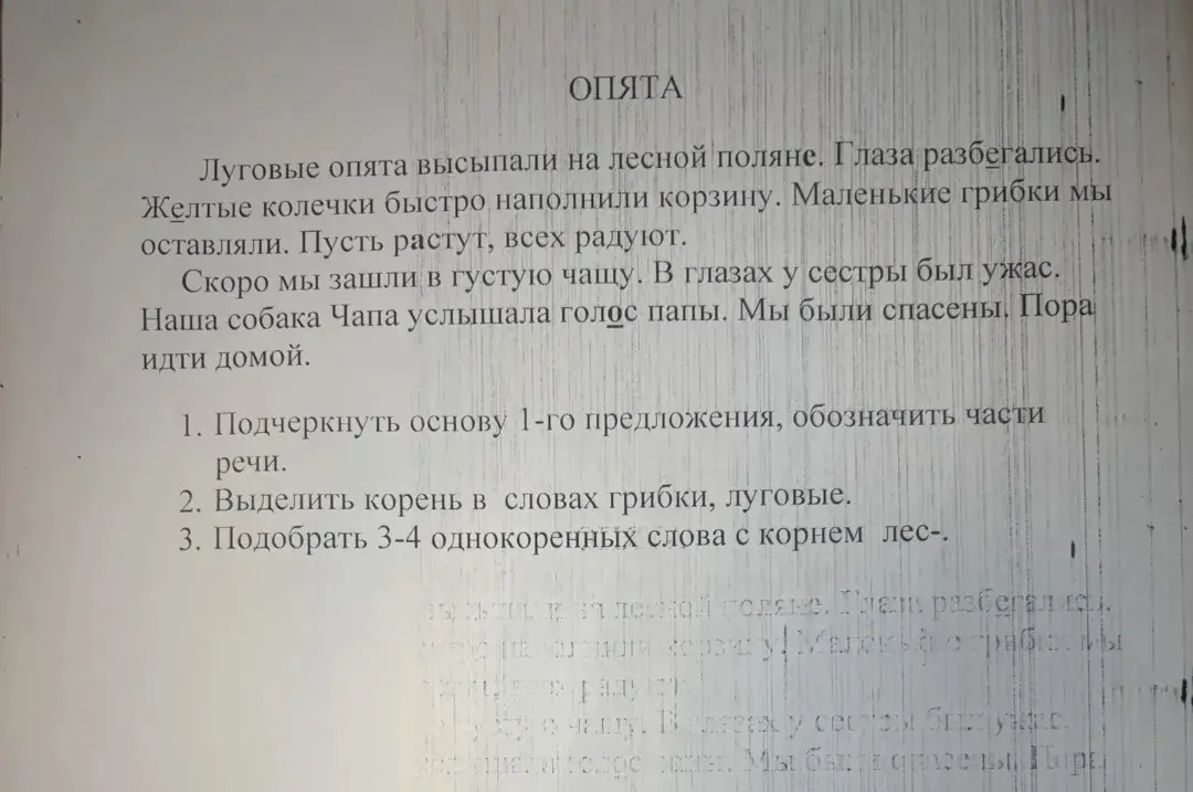 Подчеркни основу 1-го предложения, обозначь части речи, выдели корень в словах грибки, луговые, подбери 3-4 однокоренных слова с корнем лес-.