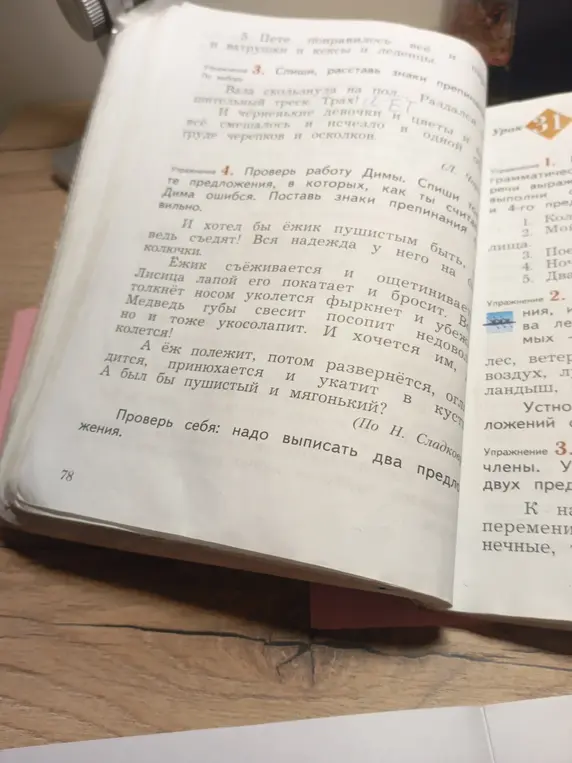 Проверь работу Димы, спиши те предложения, в которых, как ты считаешь, Дима ошибся. Поставь знаки препинания правильно.