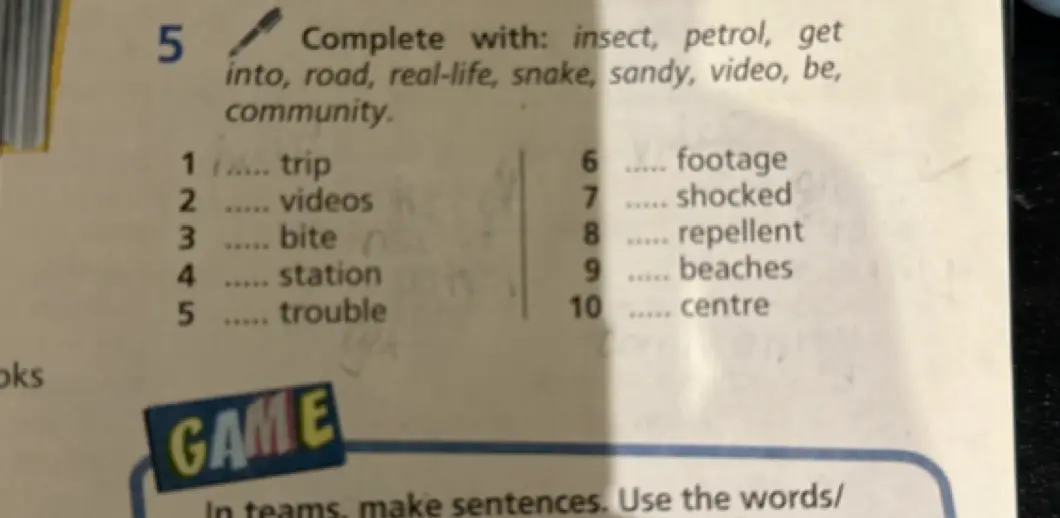 Дополни предложения словами: insect, petrol, get into, road, real-life, snake, sandy, video, be, community.