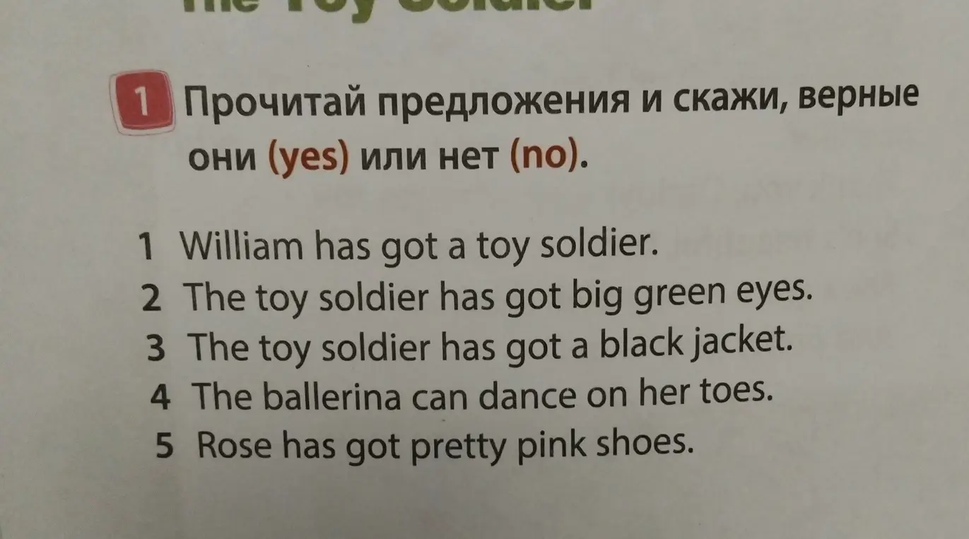 Прочитай предложения и скажи, верные они (yes) или нет (no).