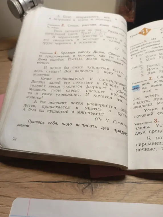 Проверь работу Димы, спиши предложения, в которых Дима ошибся, поставь знаки препинания правильно.