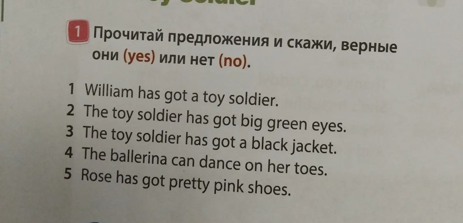 Прочитай предложения и скажи, верные они (yes) или нет (no).