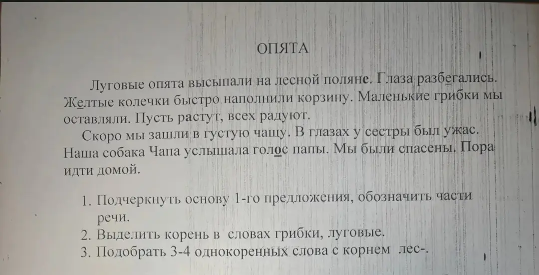 Подчеркни основу 1-го предложения, обозначь части речи, выдели корень в словах грибки, луговые и подбери 3-4 однокоренных слова с корнем лес-.
